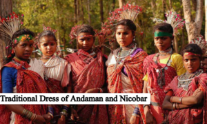 Traditional Dress of Andaman and Nicobar: A Paradise of Culture and Fashion!