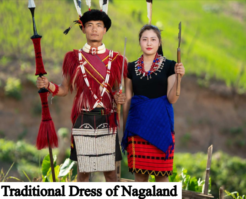 Traditional Dress of Nagaland
