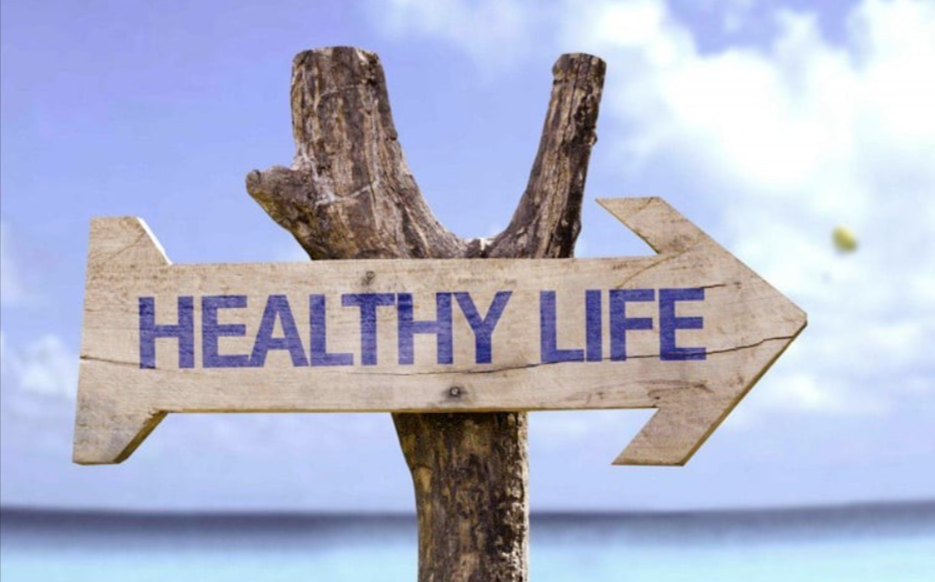 healthy life wellhealthorganic