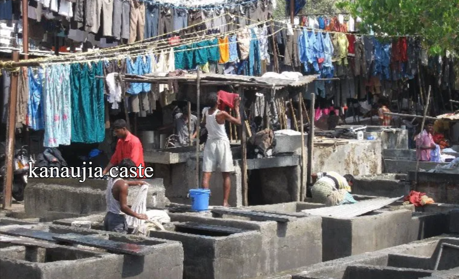 kanaujia caste